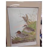 35in x 27in signed duck print by Kenneth A. Ferris