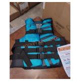 Airhead Adult S/M Life Vest