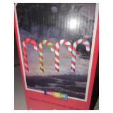 Color Motion Pathway Candy Canes 12"H