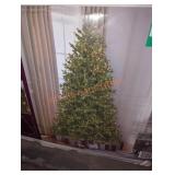 7.5 ft. Elegant Grand Fir Christmas Tree;