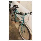 Schwinn mens bike