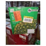 Home accent 150 warm white LED net lights