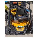DeWalt Gas Powered Push Mower 150cc