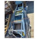 Werner Multi-Position Ladder, 20