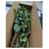 Not opened by Rockey Staff. May be opened at