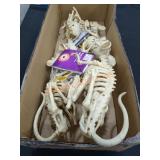 Unopened By Rockey Team, Could be  Opened at