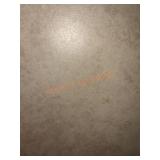 Traffic Master Ceramic Floor/Wall Tile