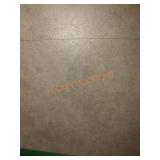 Traffic Master Ceramic Floor/Wall Tile