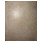 Traffic Master Ceramic Floor/Wall Tile