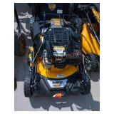 DeWalt 163cc Gas 21" Push Lawn Mower