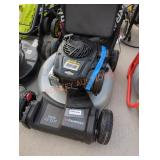 Murray 22" gas powered push mower
