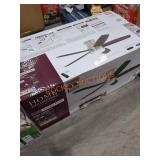 Indoor Ceiling Fan 52" Ashby Park