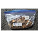 Bag of 1960-1964 Pennies