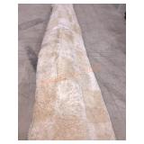 Area Rug Unknown Size