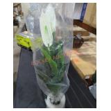 Sold As Is Where Is No Guarantees No Returns,