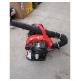 Echo Gas Backpack Blower