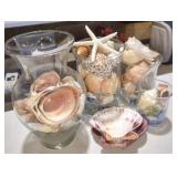 Seashell Lot