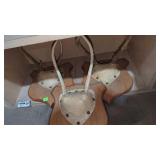 Deer Antler Mounts