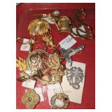 Brooches and Pins Lot