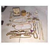 Costume Jewelry Lot
