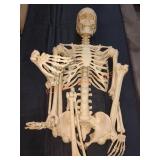 Skeleton Damaged Leg, UNOPENED BY ROCKEY TEAM,