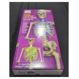 UNOPENED BY ROCKEY TEAM, Could Be Opened At