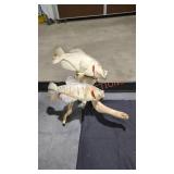 White crappie fish mount