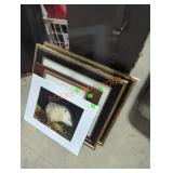 5 Piece Wildlife Photo Lot