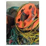 Miscellaneous Extension Cords