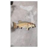 Small mouth bass mount