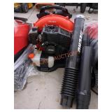 Echo Gas Backpack Blower
