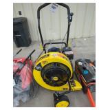 Champion Gas Walk Behind Leaf Blower