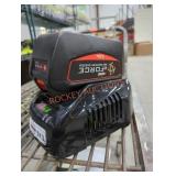 Echo 56v 5 ah battery and charger