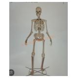 12ft Grave & Bones Giant Sized Skelly