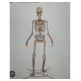 12ft Skelly with Servo