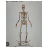 12ft Skelly with Servo