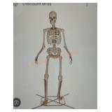 12ft Skelly with Servo