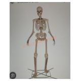 12ft Skelly with Servo