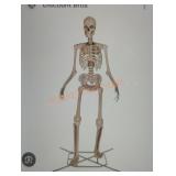 12ft Grave and bones Giant-Sized Skelly