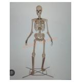 12ft Skelly with Servo