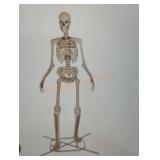 12ft Skelly with Servo