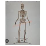 12ft Skelly with Servo