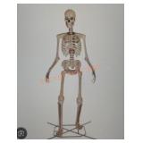 12ft Grave & Bones Giant Sized Skelly