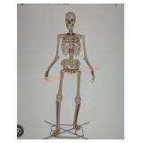 12ft Grave & Bones Giant Sized Skelly