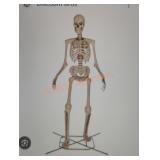 12ft Grave & Bones Giant Sized Skelly