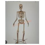 12ft Grave & Bones Giant Sized Skelly