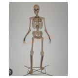 12ft Grave & Bones Giant Sized Skelly