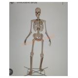 12ft Skelly with Servo