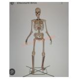 12ft Skelly with Servo