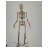 12ft Grave & Bones Giant Sized Skelly